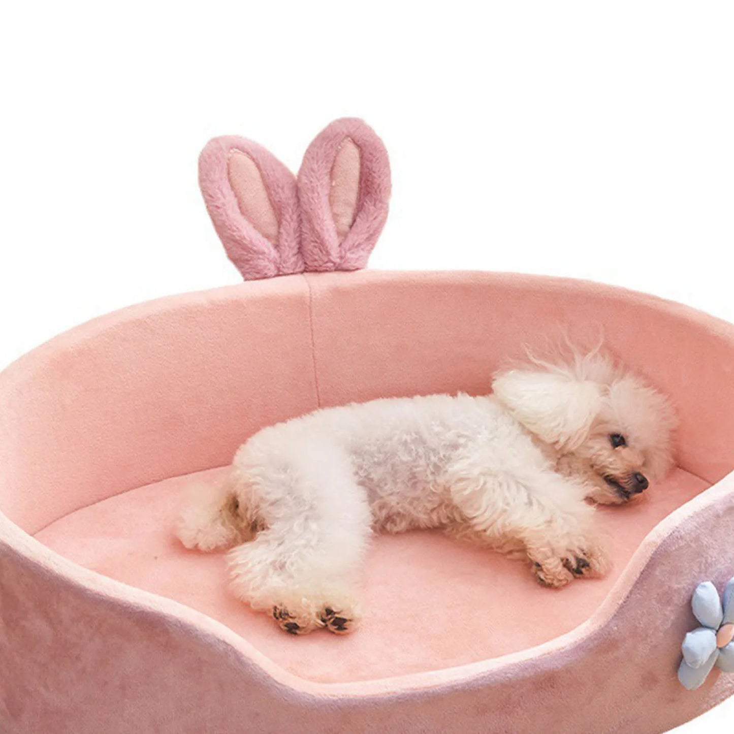 Detachable Pet Bed  Pet Bed Detachable Washable
