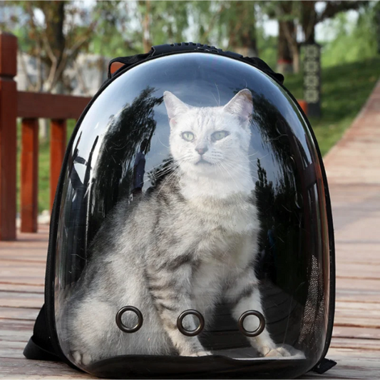 Manufacturer directly supplies cat bags pet backpacks