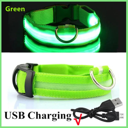 USB Rechargeable Luminous Collar Adjustable Led