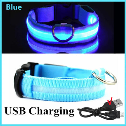 USB Rechargeable Luminous Collar Adjustable Led