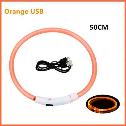 USB Rechargeable Luminous Collar Adjustable Led