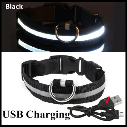 USB Rechargeable Luminous Collar Adjustable Led