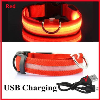 USB Rechargeable Luminous Collar Adjustable Led