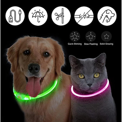 USB Rechargeable Luminous Collar Adjustable Led