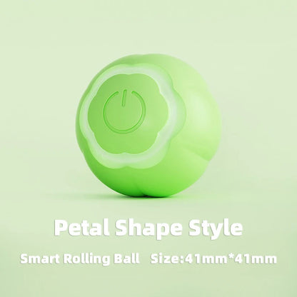 Pet Automatic Rolling Cat Toy Training Self-propelled