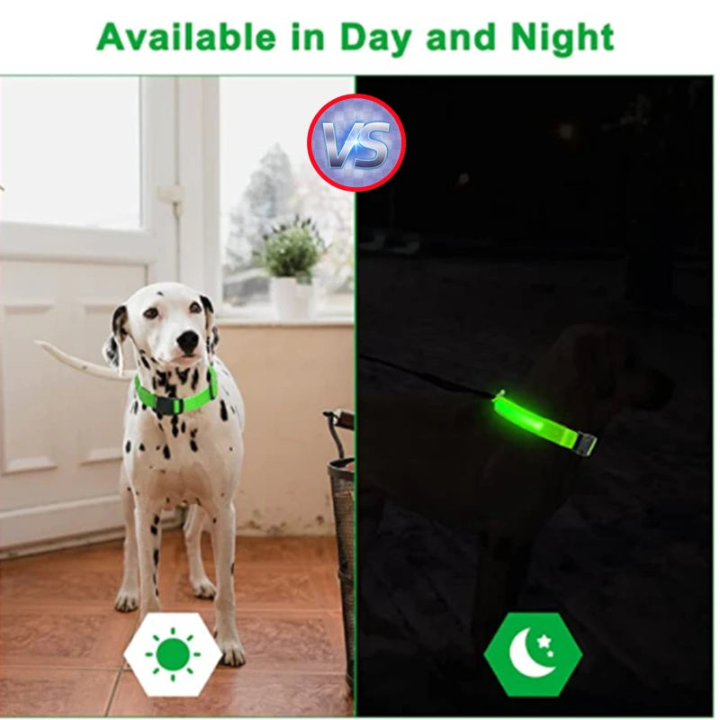 USB Rechargeable Luminous Collar Adjustable Led