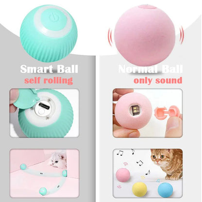 Pet Automatic Rolling Cat Toy Training Self-propelled