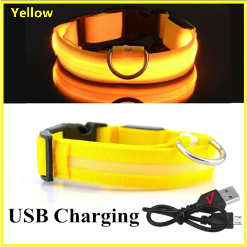USB Rechargeable Luminous Collar Adjustable Led