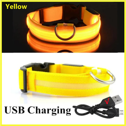USB Rechargeable Luminous Collar Adjustable Led