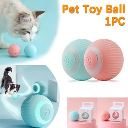 Pet Automatic Rolling Cat Toy Training Self-propelled