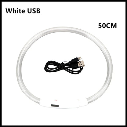 USB Rechargeable Luminous Collar Adjustable Led