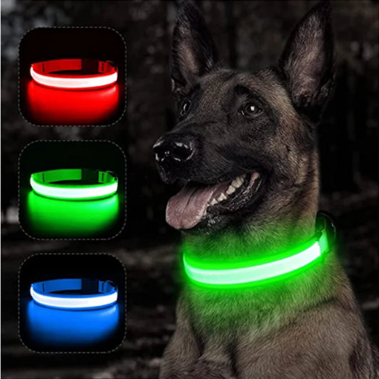 USB Rechargeable Luminous Collar Adjustable Led