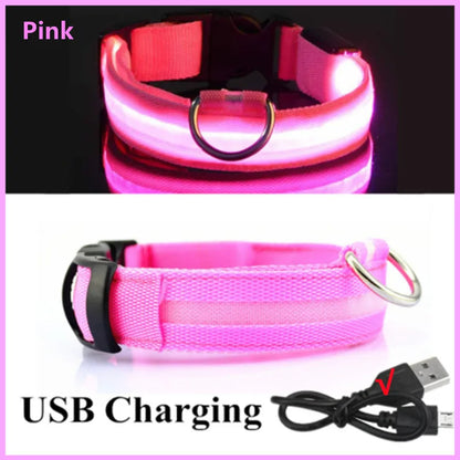 USB Rechargeable Luminous Collar Adjustable Led
