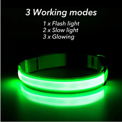 USB Rechargeable Luminous Collar Adjustable Led