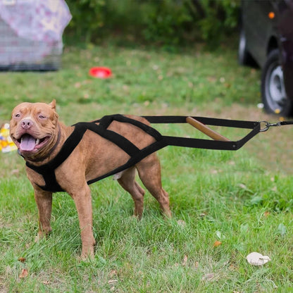 Durable Dog Sled Harness Soft Padded Dog Weight Pulling