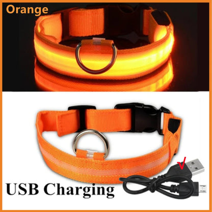 USB Rechargeable Luminous Collar Adjustable Led