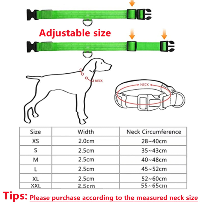 USB Rechargeable Luminous Collar Adjustable Led